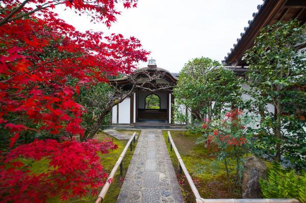 https://www.db.kansai-maas.jp/image/photos/e220a9a4-9db1-461f-8756-6b97325eb885.jpg
