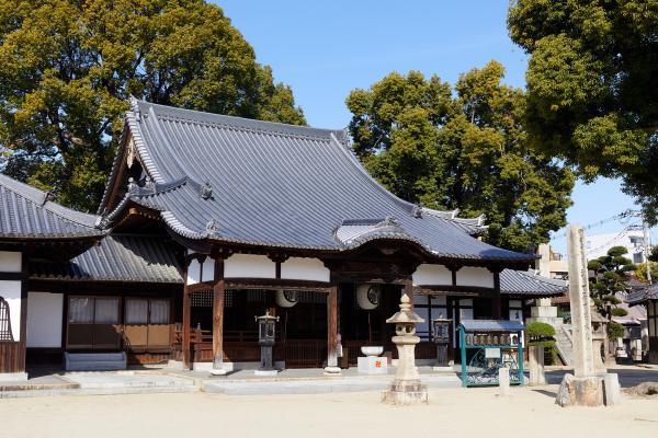 https://www.db.kansai-maas.jp/image/photos/e23349b7-575f-4e10-96a2-7e81d8cdf9a7.jpg