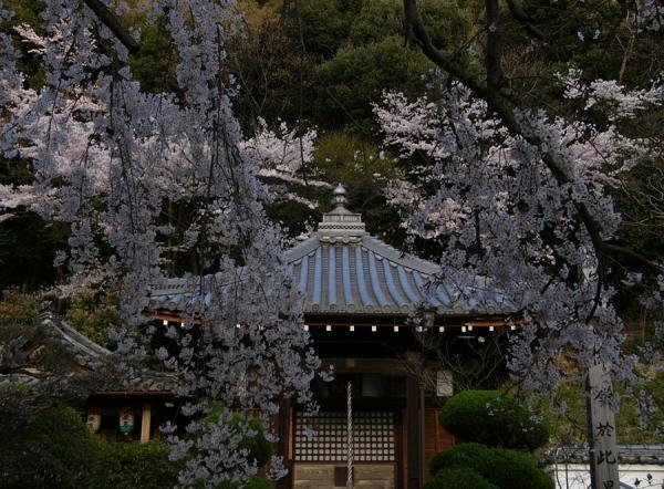 https://www.db.kansai-maas.jp/image/photos/e245ef78-f0a8-4abf-a136-0d94fa569069.jpg