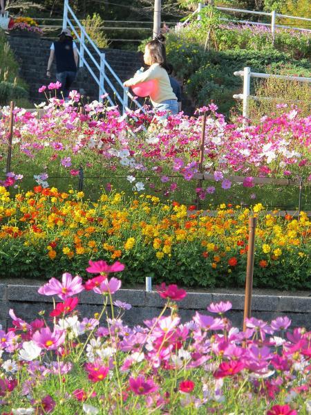 https://www.db.kansai-maas.jp/image/photos/e284b6b5-0316-4a41-88b5-e911e08e468e.jpg