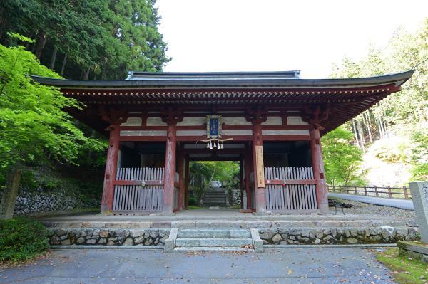 https://www.db.kansai-maas.jp/image/photos/e2a6fe19-ca81-4136-98c7-ab2c7bd53424.jpg