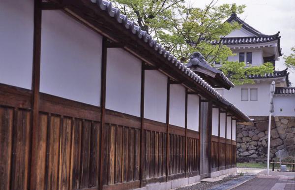 https://www.db.kansai-maas.jp/image/photos/e3623a60-3719-40e8-bb5d-d72b49e70475.jpg