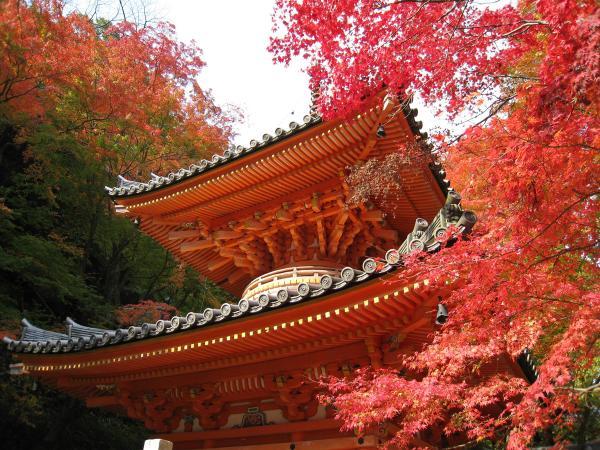 https://www.db.kansai-maas.jp/image/photos/e3c22bfb-57f6-4712-acfd-b75fd8867987.jpg