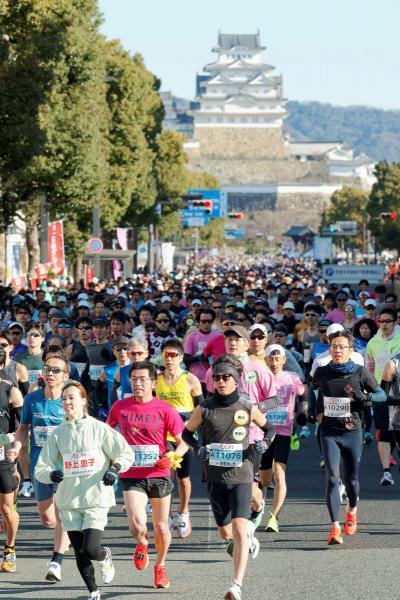 https://www.db.kansai-maas.jp/image/photos/e45bb1d2-9419-4941-a285-45c9276b848d.jpg
