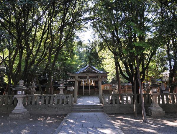 https://www.db.kansai-maas.jp/image/photos/e5022ca8-f1e8-40b2-a4bb-39c93bb341a4.jpg