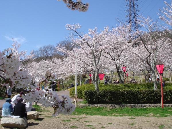 https://www.db.kansai-maas.jp/image/photos/e50a22f0-afdd-4f15-a435-c880dcc89dc6.jpg