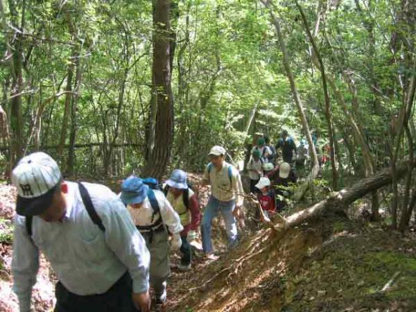 https://www.db.kansai-maas.jp/image/photos/e65bdf39-616e-4afe-9861-f3711802768f.jpg