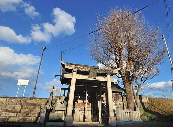 https://www.db.kansai-maas.jp/image/photos/e740558f-12b7-4739-92a8-ac66844d355e.jpg