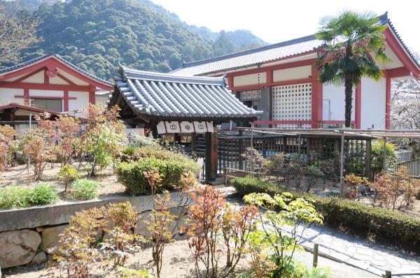https://www.db.kansai-maas.jp/image/photos/e74f2a49-787e-424b-b665-3944f53da498.jpg