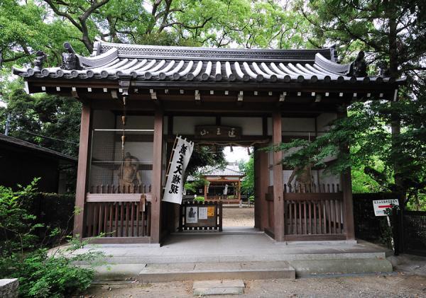 https://www.db.kansai-maas.jp/image/photos/e75f6f62-2de7-4904-af6f-9dd7d4de2c85.jpg