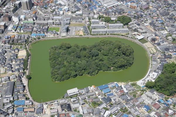 https://www.db.kansai-maas.jp/image/photos/e80f630d-fff2-4af5-bb14-ab129ce6b7ad.jpg