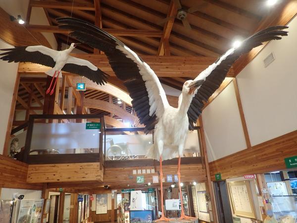 https://www.db.kansai-maas.jp/image/photos/e85acffb-e004-448a-9aa2-80abcba32942.jpg