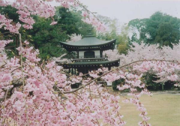 https://www.db.kansai-maas.jp/image/photos/e868279d-d4c8-4458-ad7e-cbab44fd7cea.jpg