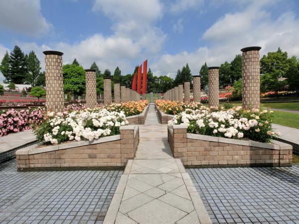 https://www.db.kansai-maas.jp/image/photos/ea9ed749-1740-4705-887f-6a73cf51e735.jpg
