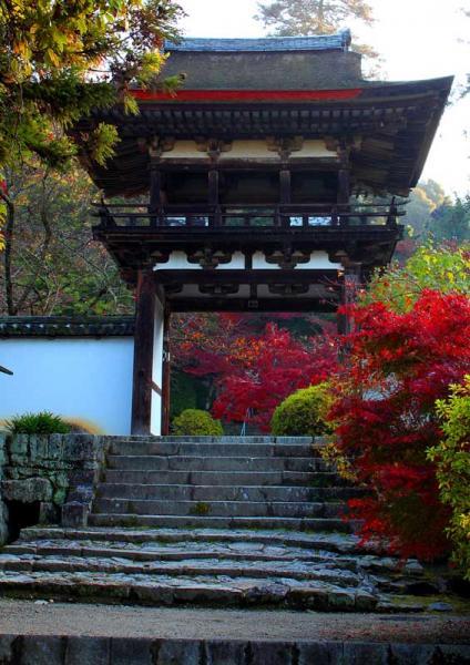 https://www.db.kansai-maas.jp/image/photos/eadfd53c-f8d7-4e47-aa66-c5a658edaf17.jpg