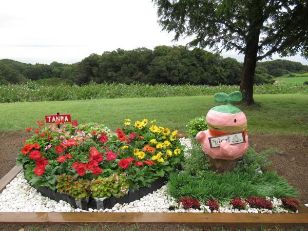 https://www.db.kansai-maas.jp/image/photos/eaf75cbb-d52e-4634-9197-a2880dfe8f3b.jpg