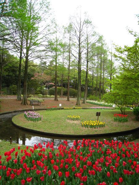 https://www.db.kansai-maas.jp/image/photos/eb3409f3-1d19-4aa7-85e3-d3c89ac9d5d2.jpg
