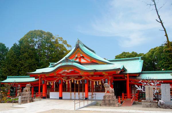 https://www.db.kansai-maas.jp/image/photos/eb63cef3-8b5e-4df6-83ed-42fed6c3f3ca.jpg