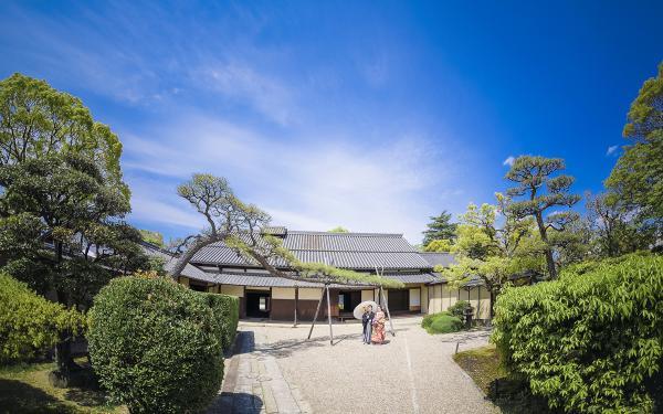 https://www.db.kansai-maas.jp/image/photos/ebd47845-1186-4700-ae23-e831e05822e5.jpg