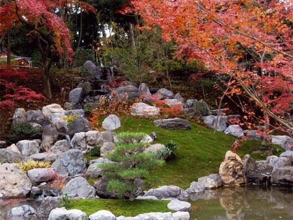 https://www.db.kansai-maas.jp/image/photos/ed2f6ca5-c00b-483a-ad78-6ed52fc8b6c9.jpg