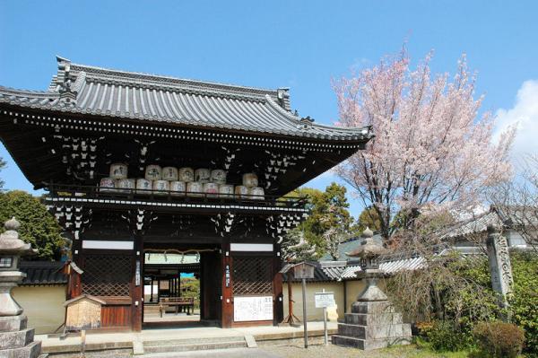 https://www.db.kansai-maas.jp/image/photos/ef0f8349-124f-4c68-bf08-8f8c7bac7f05.jpg