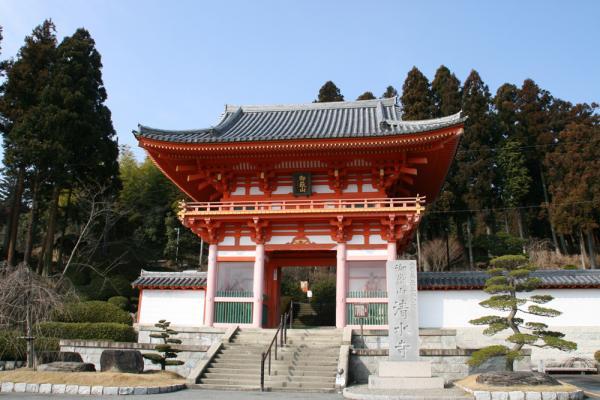 https://www.db.kansai-maas.jp/image/photos/ef18670e-7481-4d77-9ccb-b8f80f9b9fef.jpg