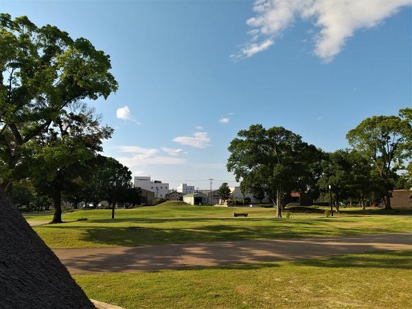 https://www.db.kansai-maas.jp/image/photos/ef1b007f-4098-4c59-8adb-d27b660c2882.jpg