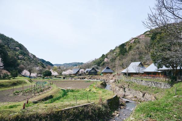 https://www.db.kansai-maas.jp/image/photos/ef78d9fa-ad45-4434-9d99-7c63b0d2e5e5.jpg