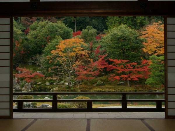 https://www.db.kansai-maas.jp/image/photos/ef961c0b-c0e6-4e45-9e67-fdf671d8a6c1.jpg