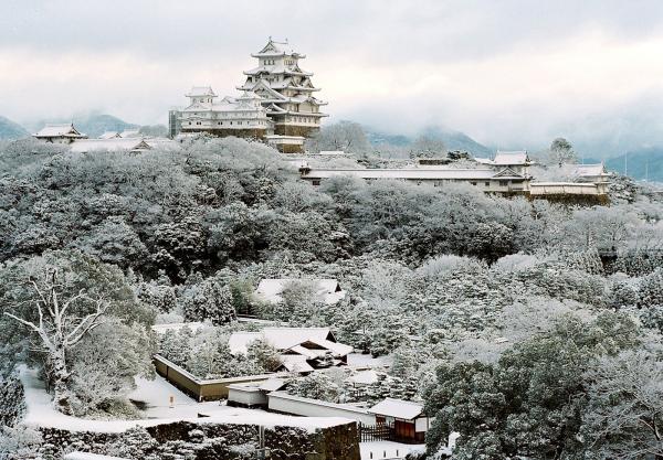 https://www.db.kansai-maas.jp/image/photos/f0263ff6-706c-4f61-926e-9fb8cbd2fa3b.jpg