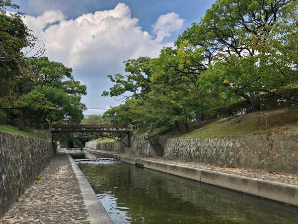 https://www.db.kansai-maas.jp/image/photos/f04fbd85-e467-493b-8d6e-671949eb7515.jpg