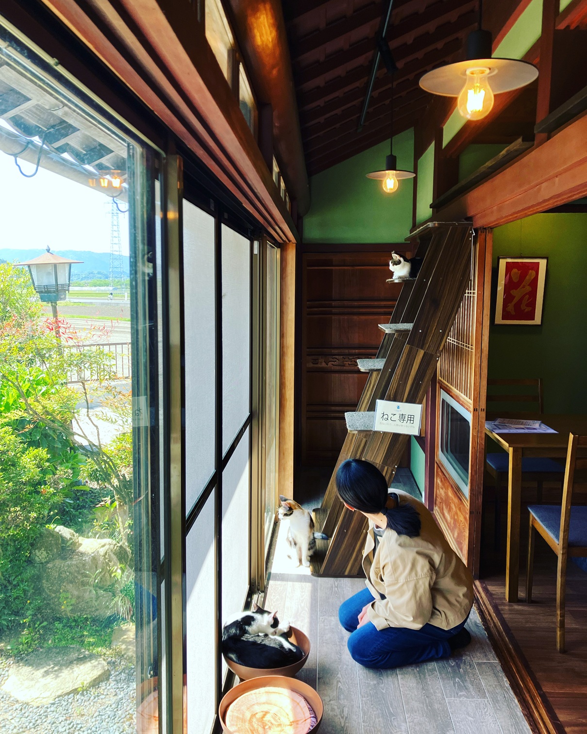 https://www.db.kansai-maas.jp/image/photos/f09c00fe-0c9f-4672-9aca-f318372a04fb.JPG
