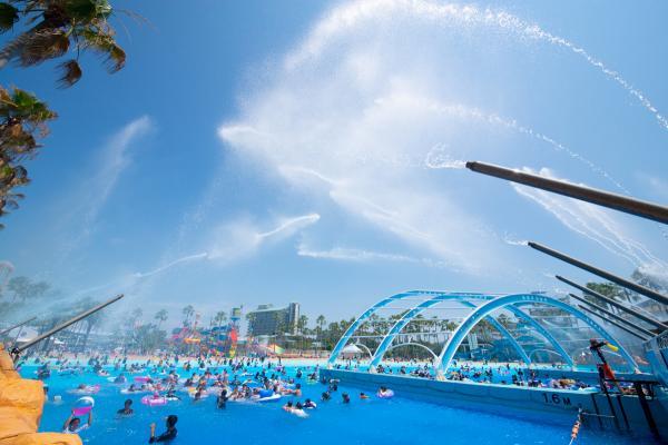 https://www.db.kansai-maas.jp/image/photos/f0e769f3-d37d-438f-9646-5a9bf88b8ab2.jpg