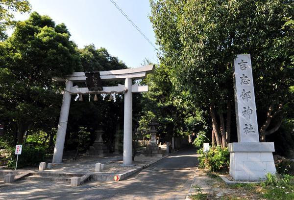https://www.db.kansai-maas.jp/image/photos/f0ec7f44-d875-4840-8651-84e6b1b5ab65.jpg
