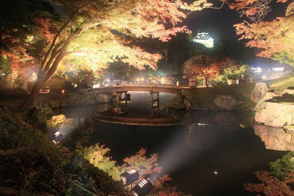 https://www.db.kansai-maas.jp/image/photos/f10a17bc-99f2-4e09-bb07-ea2b8ad6939f.jpg