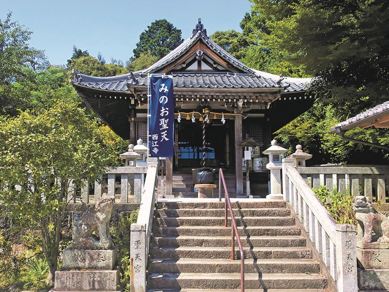 https://www.db.kansai-maas.jp/image/photos/f13fa64b-bc6e-40ad-ae8f-23d0be1c1a26.jpg