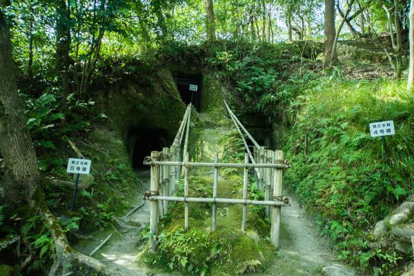 https://www.db.kansai-maas.jp/image/photos/f15afb38-9431-40df-a0b2-3f1fd002247d.jpg