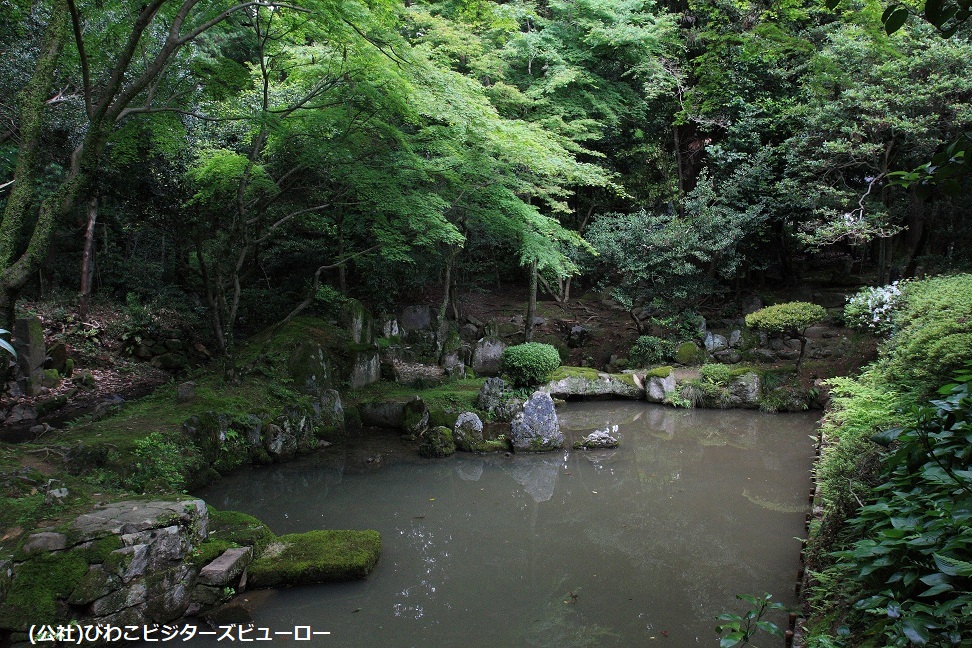 https://www.db.kansai-maas.jp/image/photos/f1635945-ca67-4da8-a71a-49af3c4c2afa.jpg