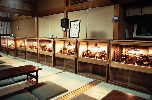 https://www.db.kansai-maas.jp/image/photos/f19bcfb8-1055-4484-85c5-6b34c970c7a4.jpg