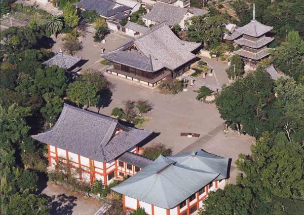 https://www.db.kansai-maas.jp/image/photos/f27c1d02-6f87-4811-b7e4-2429036e25e6.jpg