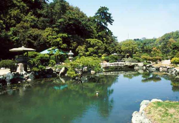 https://www.db.kansai-maas.jp/image/photos/f287ba88-0db1-495a-8178-4df971edd92a.jpg
