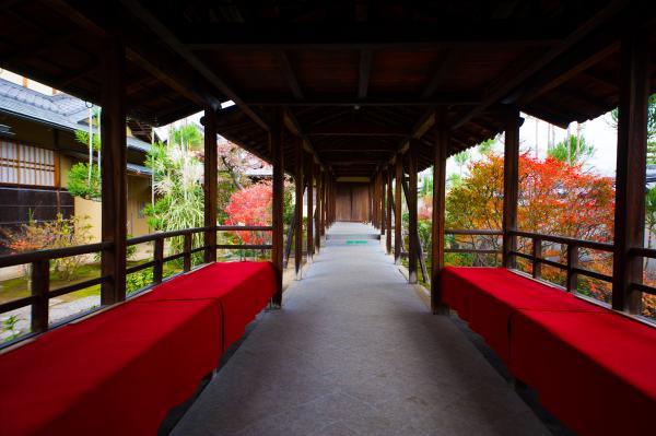 https://www.db.kansai-maas.jp/image/photos/f289e6e2-a492-400f-b23f-c259c4924c40.jpg