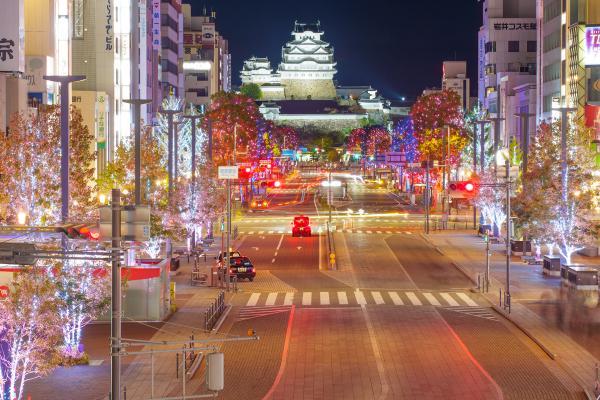 https://www.db.kansai-maas.jp/image/photos/f30a3380-0180-4ec1-b00b-c0c0b9ca0669.jpg