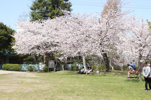 https://www.db.kansai-maas.jp/image/photos/f3763969-1168-4411-8c7c-abee9dc14189.jpg