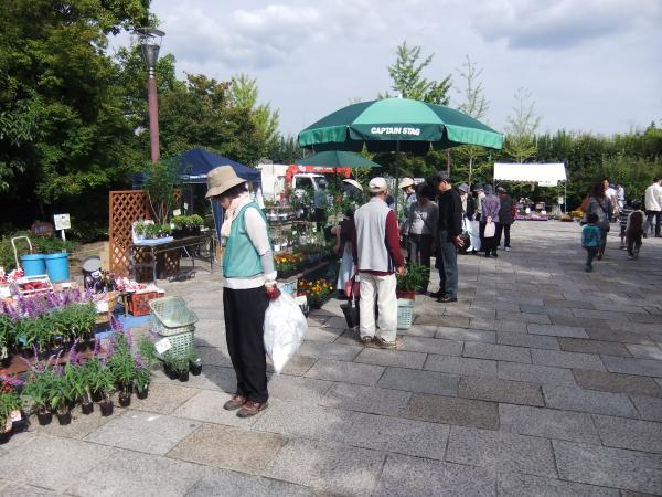 https://www.db.kansai-maas.jp/image/photos/f3957cca-0dad-463c-988e-80958d034583.jpg