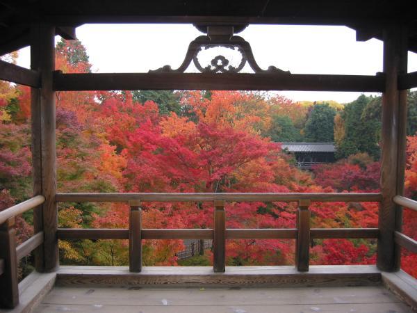 https://www.db.kansai-maas.jp/image/photos/f43dee14-6425-4947-a367-738a941ae934.jpg