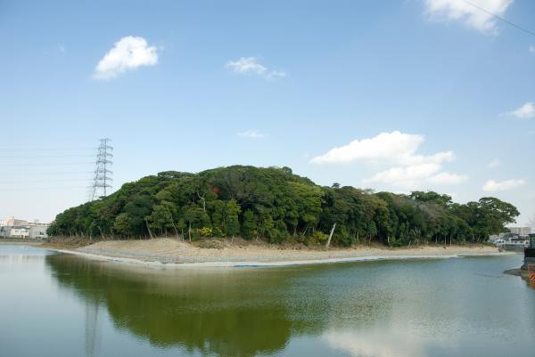 https://www.db.kansai-maas.jp/image/photos/f441677b-df3a-4aa3-afd6-47f592463550.jpg