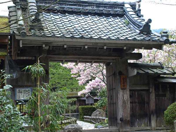 https://www.db.kansai-maas.jp/image/photos/f6177729-234d-4e58-8288-a0be9d545ea0.jpg
