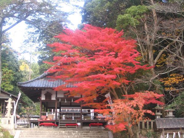 https://www.db.kansai-maas.jp/image/photos/f6f81a45-c74f-4c08-8fc2-931388472ef4.jpg