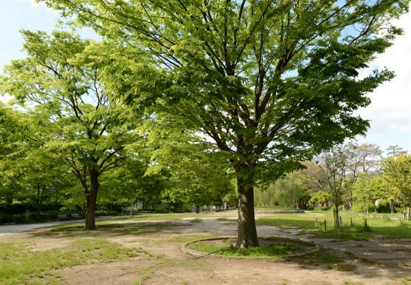 https://www.db.kansai-maas.jp/image/photos/f883f717-550a-4c73-8aba-5abeeaa13ef4.jpg